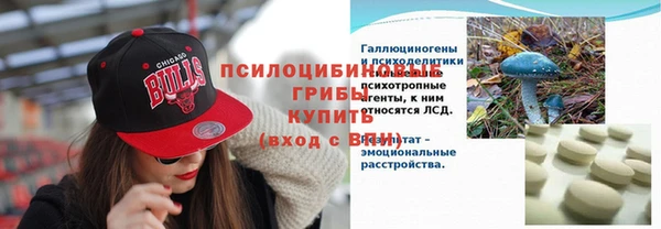 ECSTASY Вяземский
