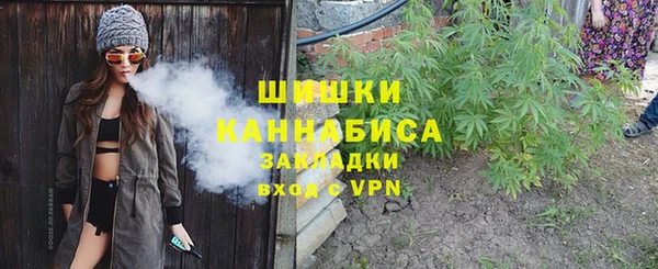 ECSTASY Вяземский